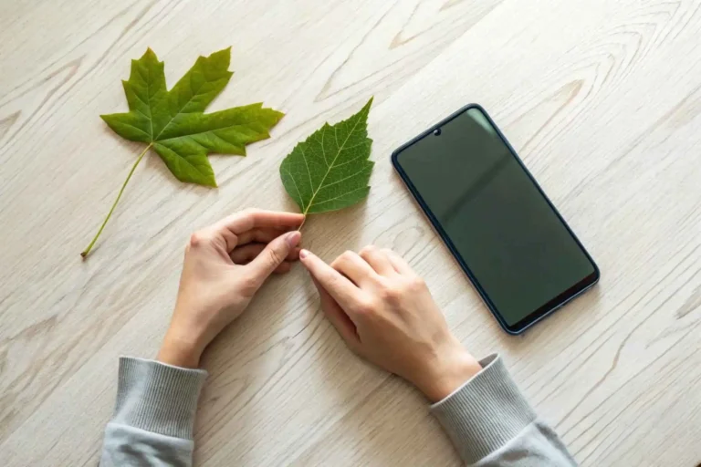 A person's hands holding a delicate leaf, pausing before practicing mindful scrolling on the smartphone resting beside it on a table.