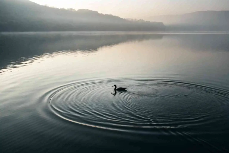 A single ripple on calm water, a beautiful symbol for the quiet, gentle power and impact of soft resistance rituals.